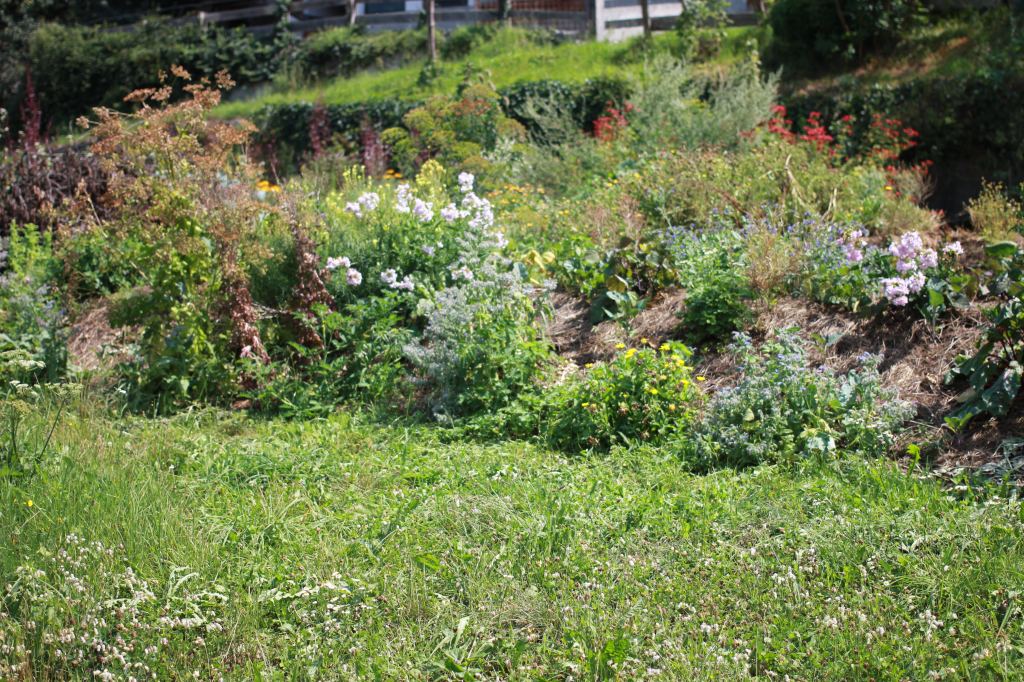 Permakultur-Garten