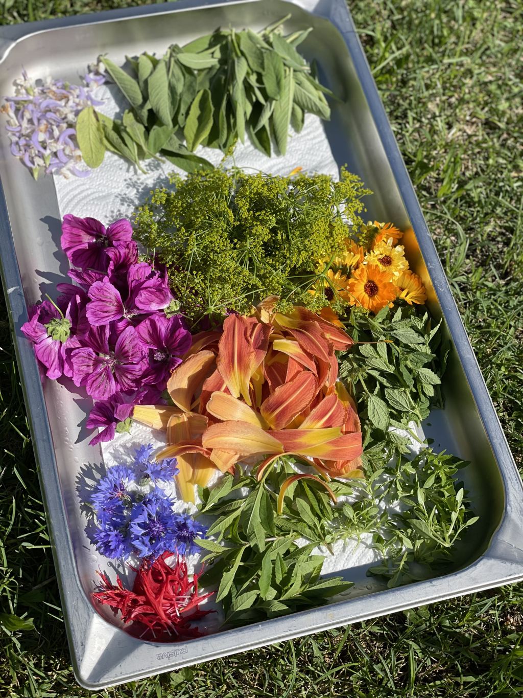 Permakultur-Garten